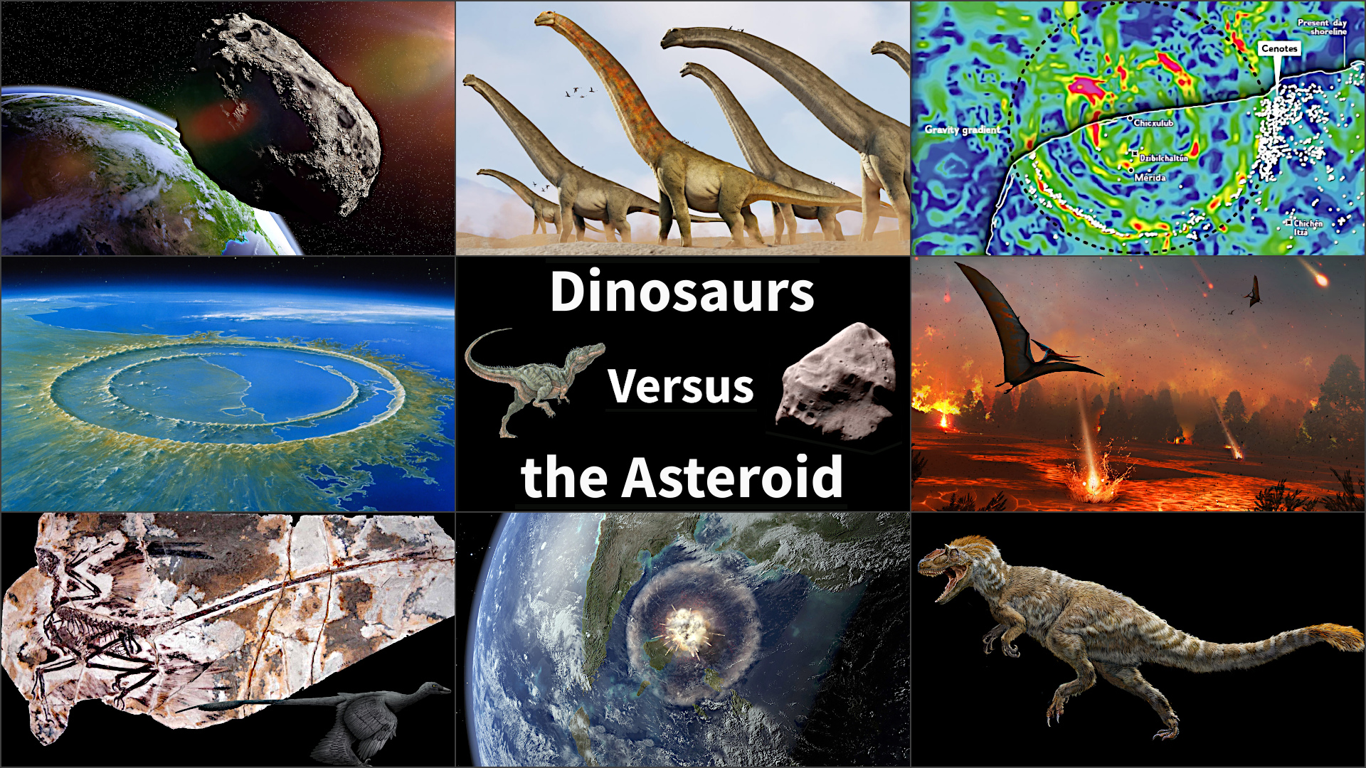 sample images from “Dinosaurs Versus the Asteroid”