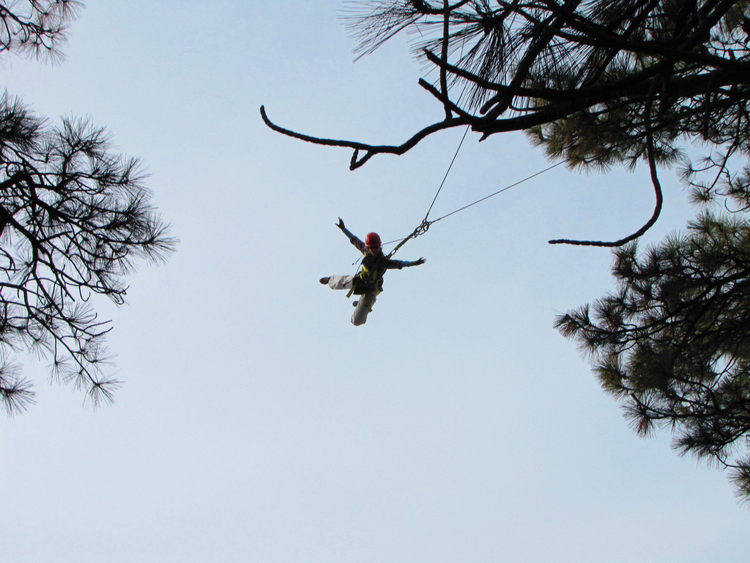 Flying