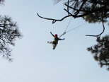 Flying