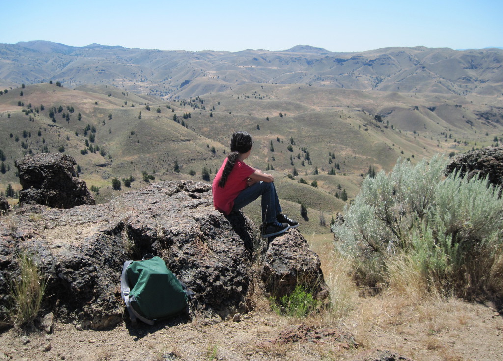 Contemplating the View