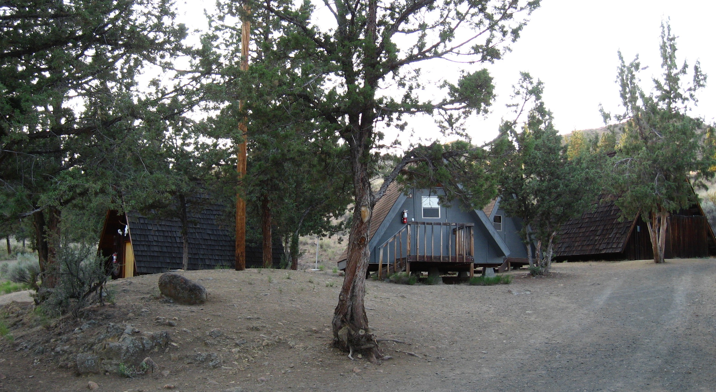 Cabins in the Trees