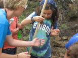 Catching a Lizard