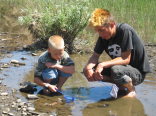 Looking for Bugs in the Water