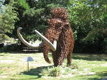 Mammoth in Town
